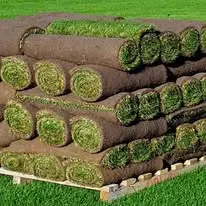 Foto de PRO JET Landscaping