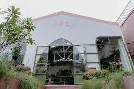 Nest - Arquitetura e Design