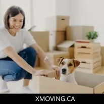 Foto de X Moving