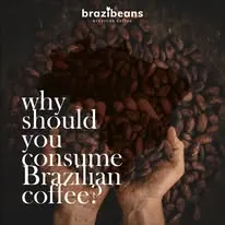 Foto de Brazibeans