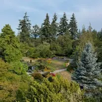 Foto de Vancouver by Locals – Tours