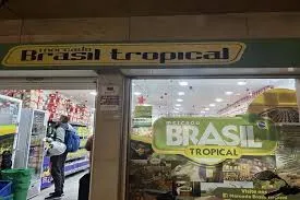 Brasil Tropical