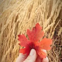 Foto de Click Mi Photography