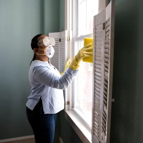 Foto de Rio Cleaning
