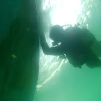 Foto de Marques Diving Services