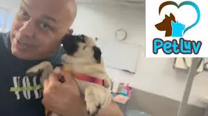 Foto de Pet Luv Grooming Service
