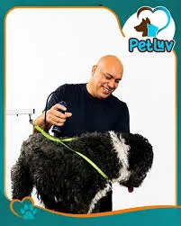 Foto de Pet Luv Grooming Service