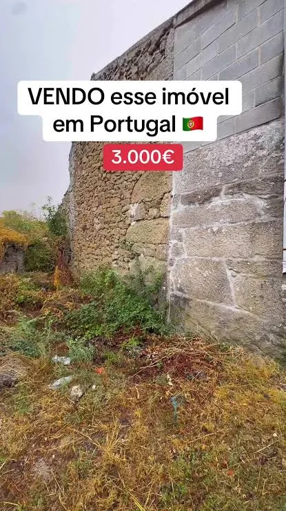 Foto de Suelita (Corretora de Imóveis)
