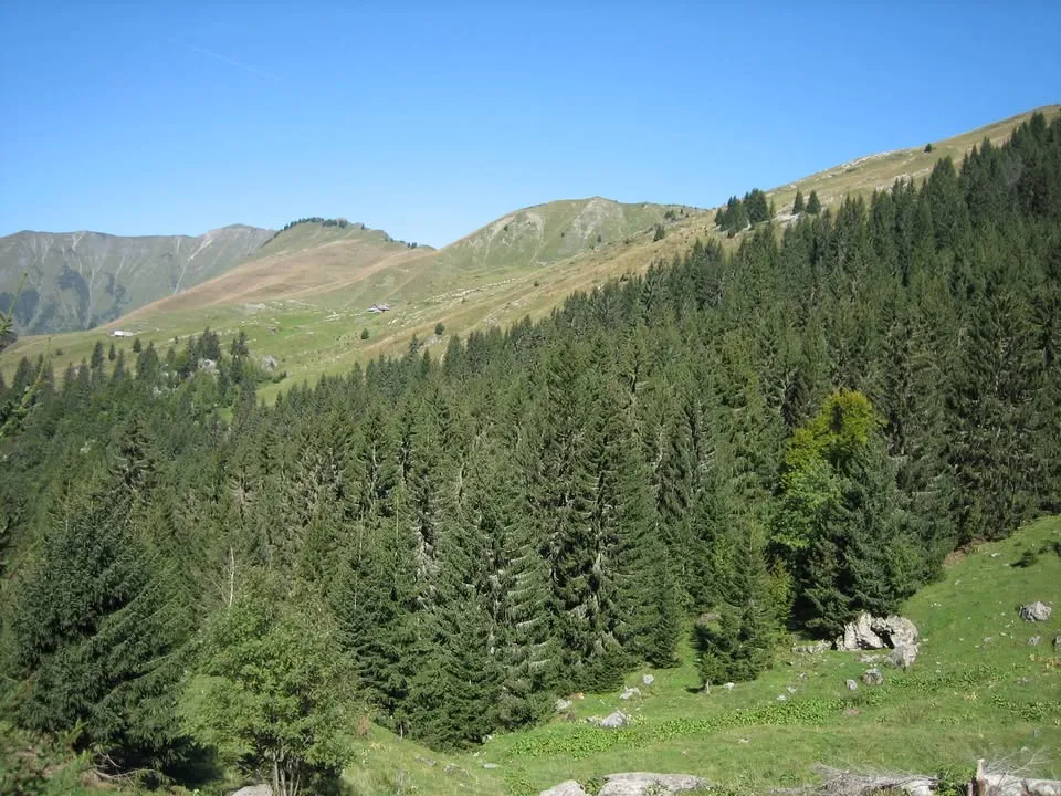 Elisângela Deserbais