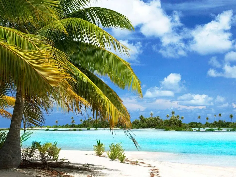 VOEJA Travel