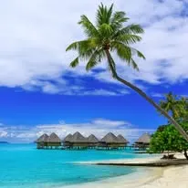 Foto de Travel Only With Luciana